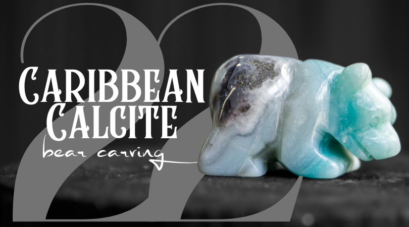 Day 22 | Caribbean Calcite Bear