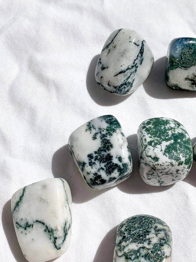 Tree Agate Tumbles | Medium - Unearthed Crystals