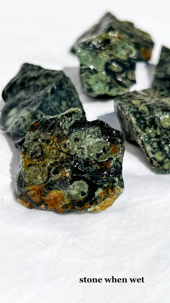 Kambaba Jasper Rough | Small - Unearthed Crystals