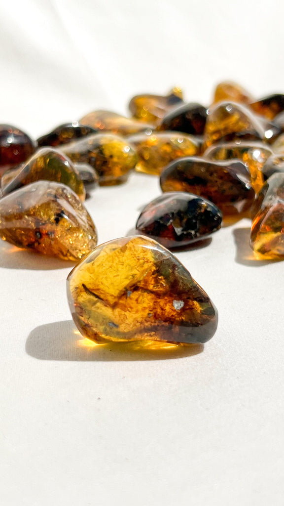 Mexican Amber Tumbles | Large - Unearthed Crystals