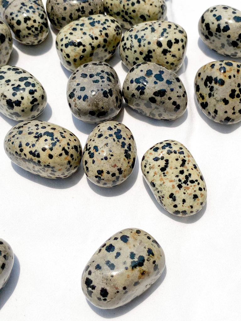 Dalmatian Jasper Tumbles | Medium - Unearthed Crystals