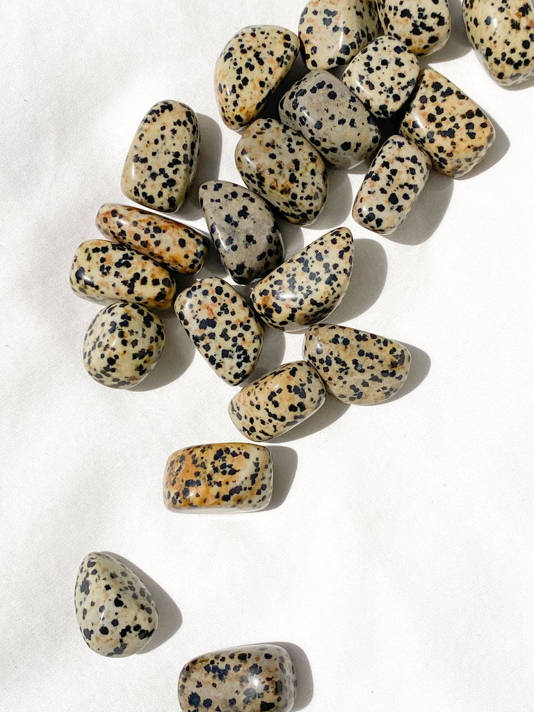 Dalmatian Jasper Tumbles | Small - Unearthed Crystals